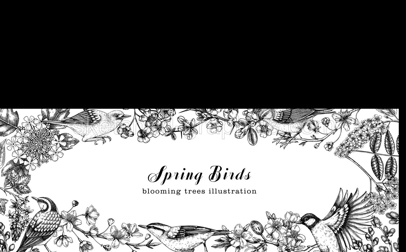 Flowering trees with birds banner. Vintage frame designs with birds, flowers, blooming branches sketches. Hand drawn almond, willow, rowan, willow, cherry blossom isolated on white background Illustration
